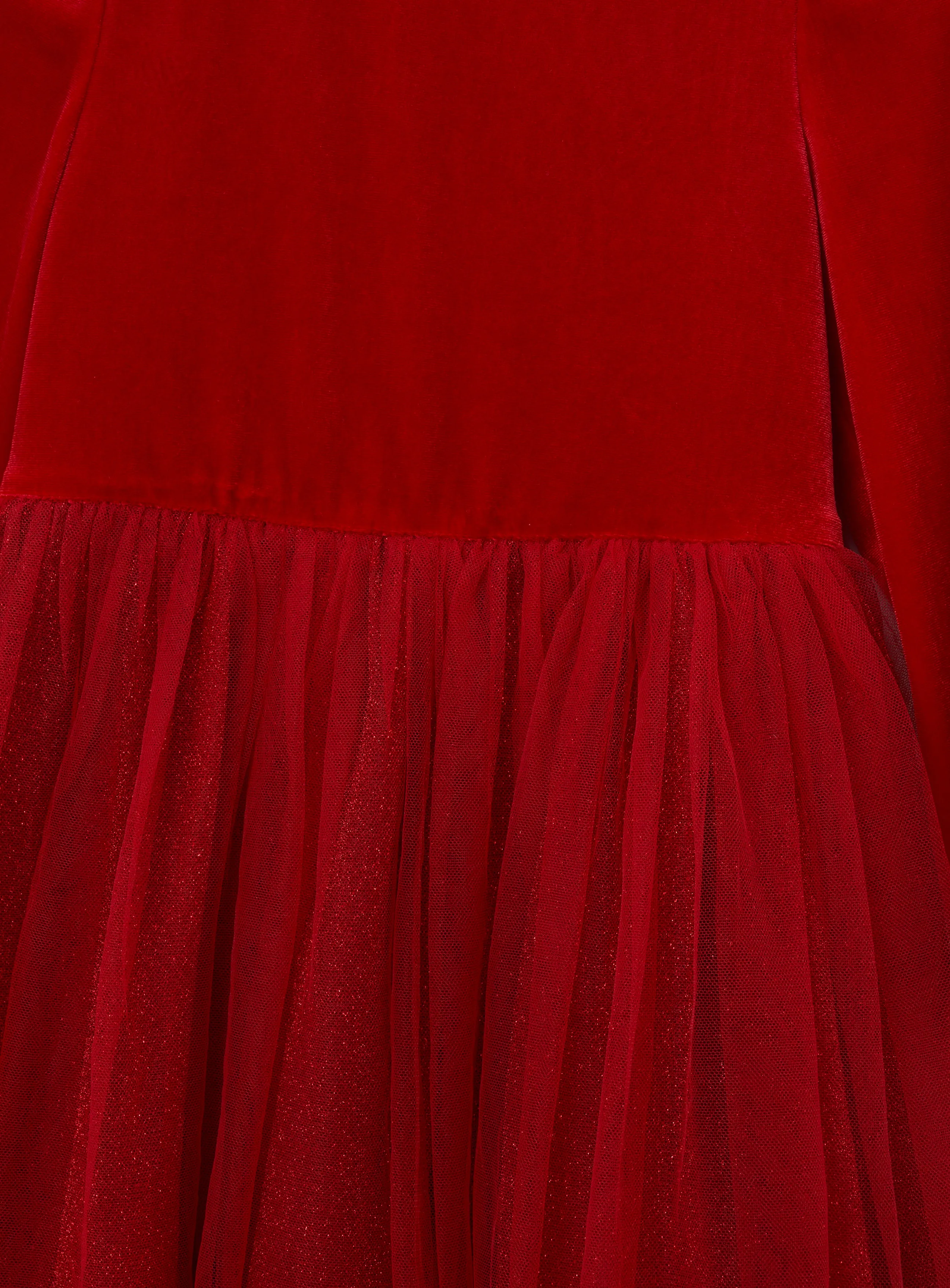Elsie Velvet Tulle Dress