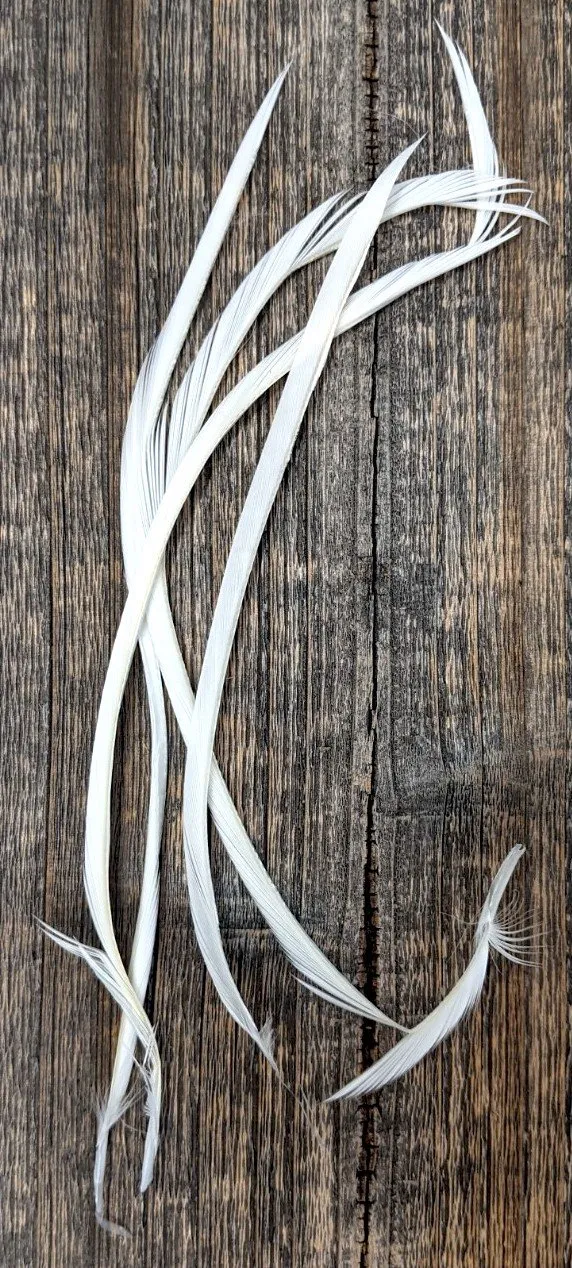 Hareline Stripped Goose Biots