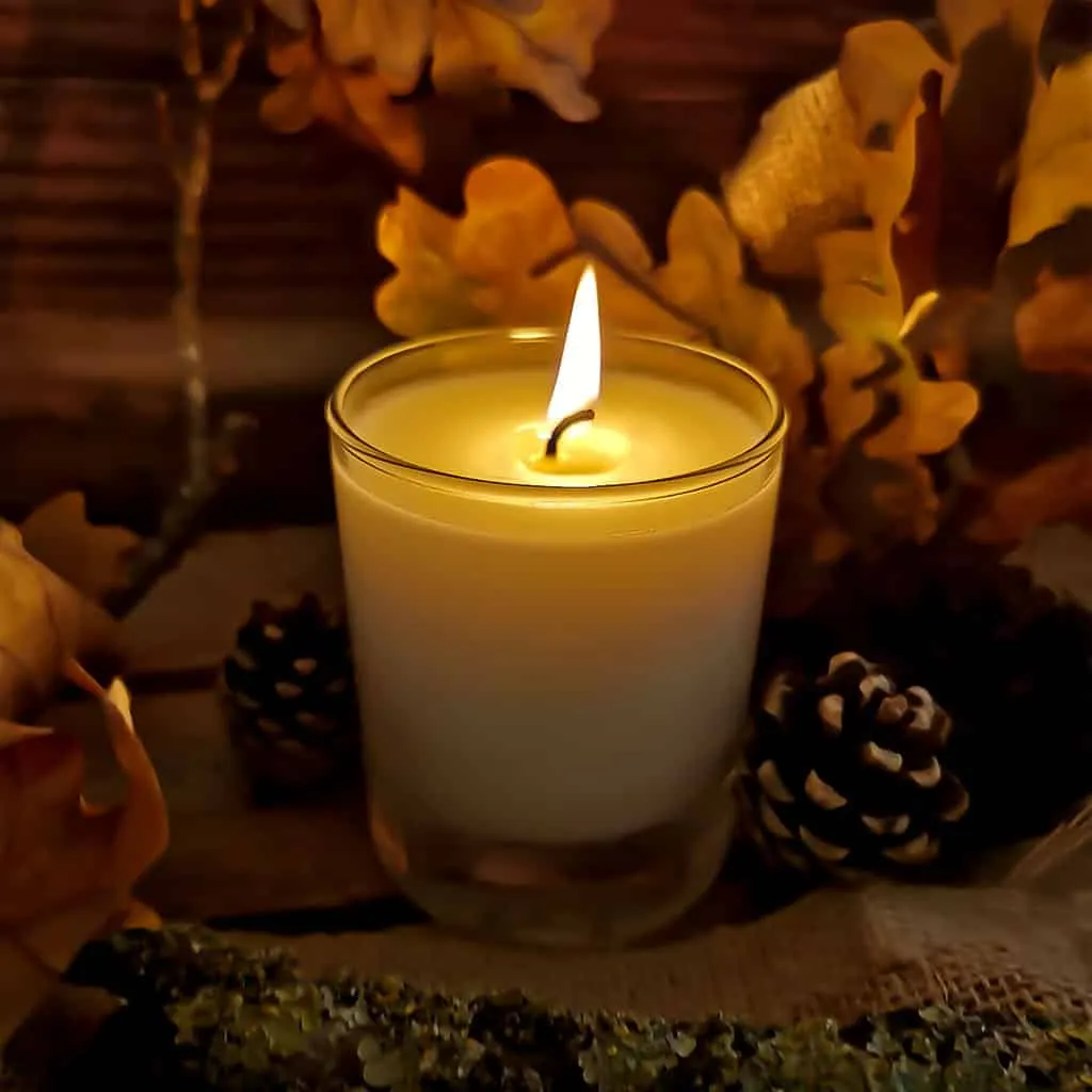 Winter Village Mulled Wine Candle
